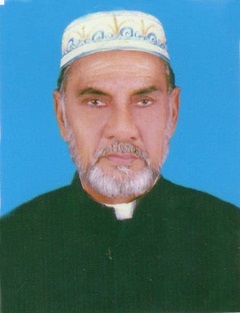 image-here